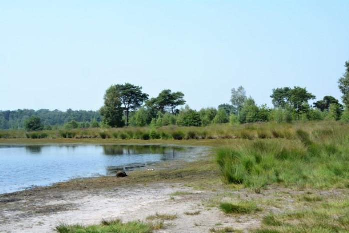Grenspark lanceert nieuwe website!